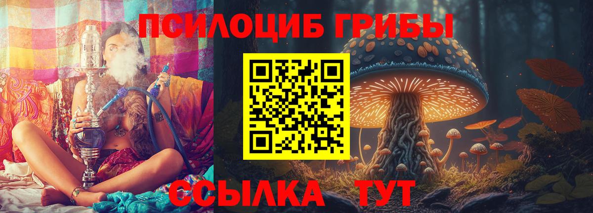 Елабуга  Псилоцибиновые грибы мицелий  Вход с VPN 